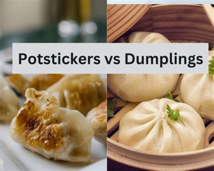 Are pork dumplings the same as pot stickers?