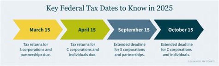 CAN 2015 taxes be filed electronically?