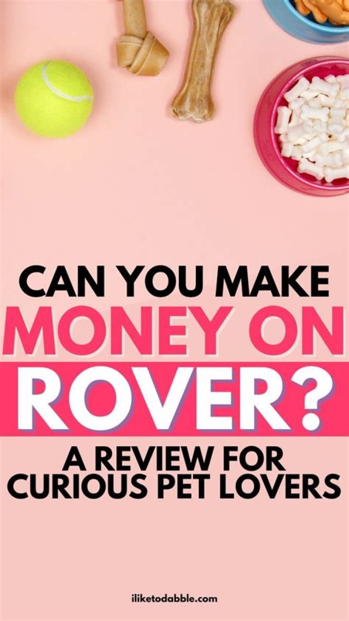 Can you make good money with Rover?