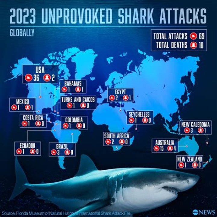 Do you get shark attacks in Barbados?