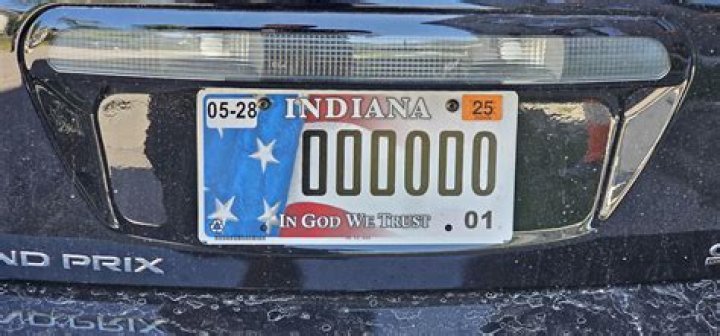 How do I return my license plate in Georgia?