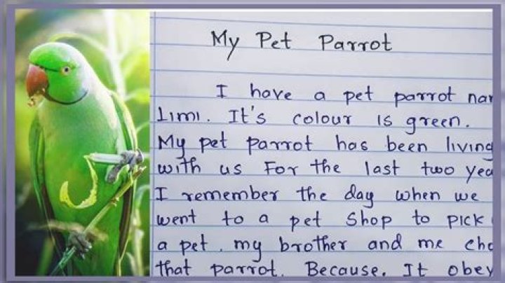 How do you do a DNA test on a parrot?