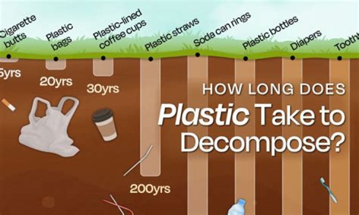 How long does it take for ant stakes to work?