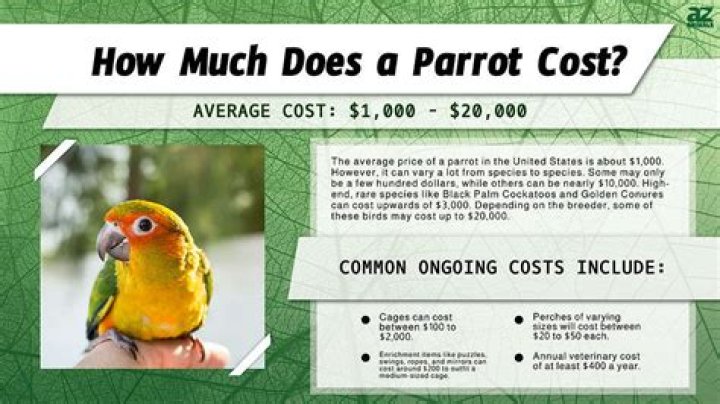 How much does a job headhunter cost?