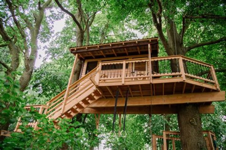 How much does it cost to hire someone to build a treehouse?