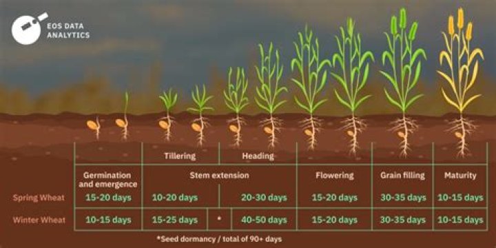 How much does Neptune harvest per gallon?