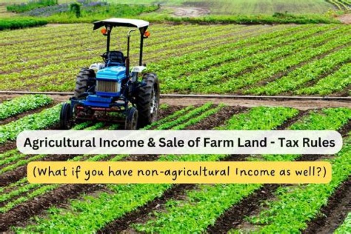 Is sale of trees agricultural income?