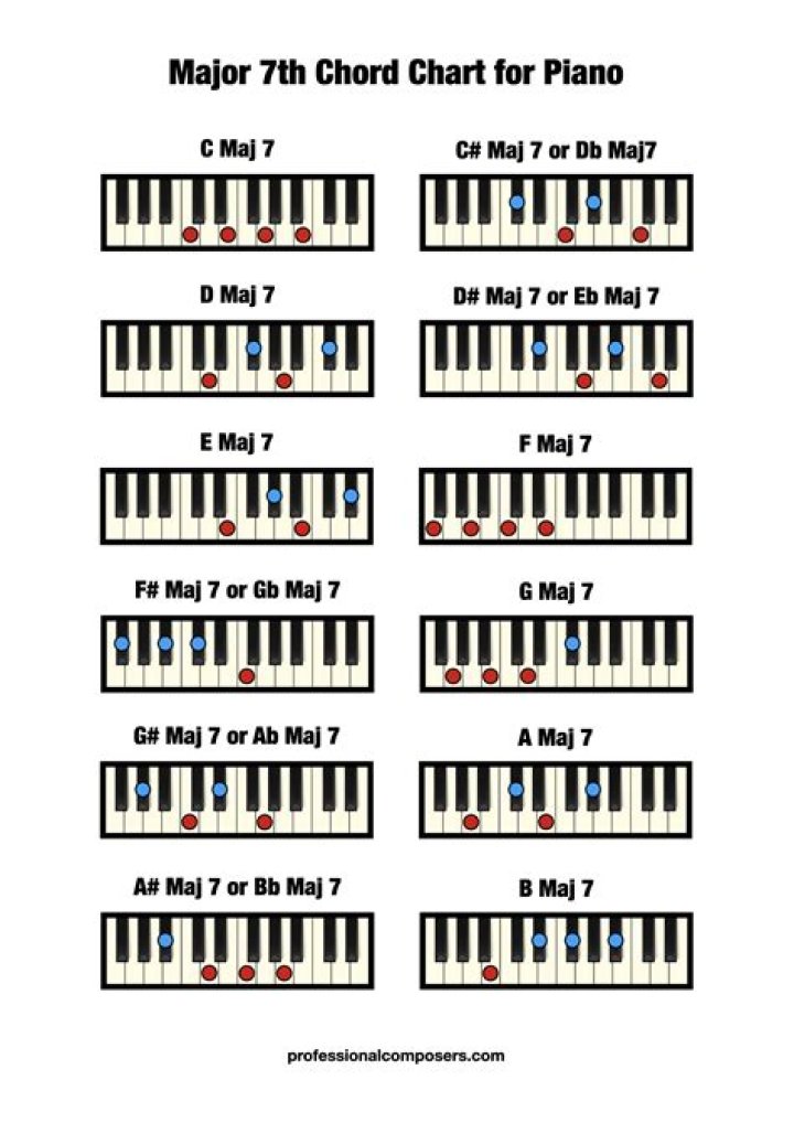 What are the 7 major bones?