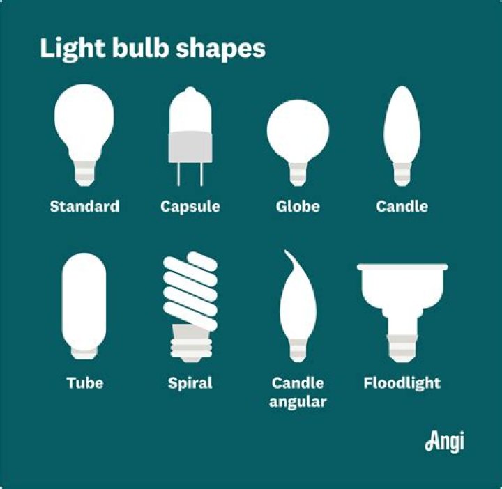 What are the different bulb shapes?