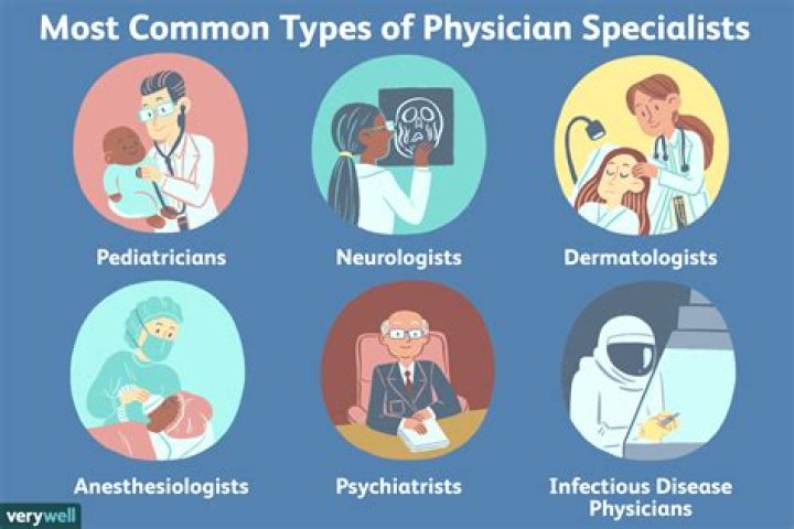 What are the different types of physicians?