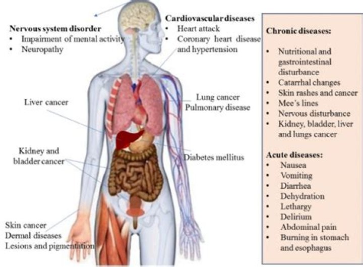 What can arsenic do to your body?