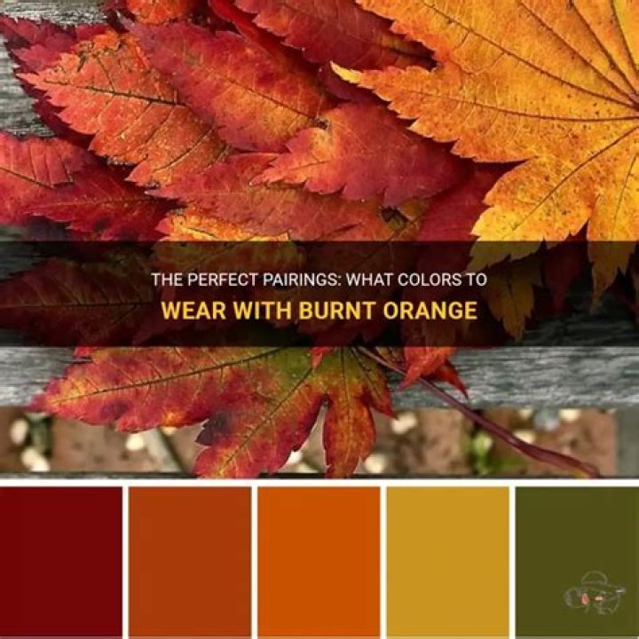 What color compliments burnt orange?
