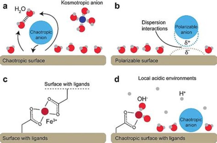 What do chaotropic salts do?