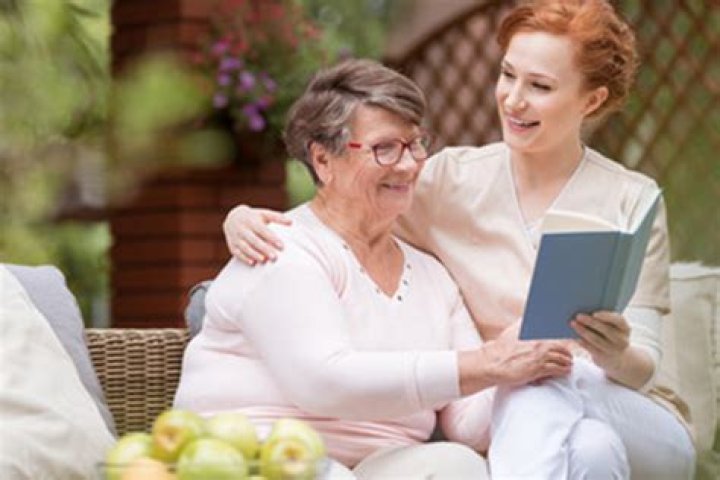 What does an elderly companion do?