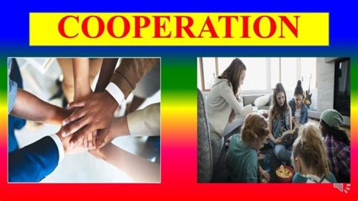 What does cooperation mean in psychology?