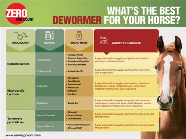 What does Quiessence do for horses?