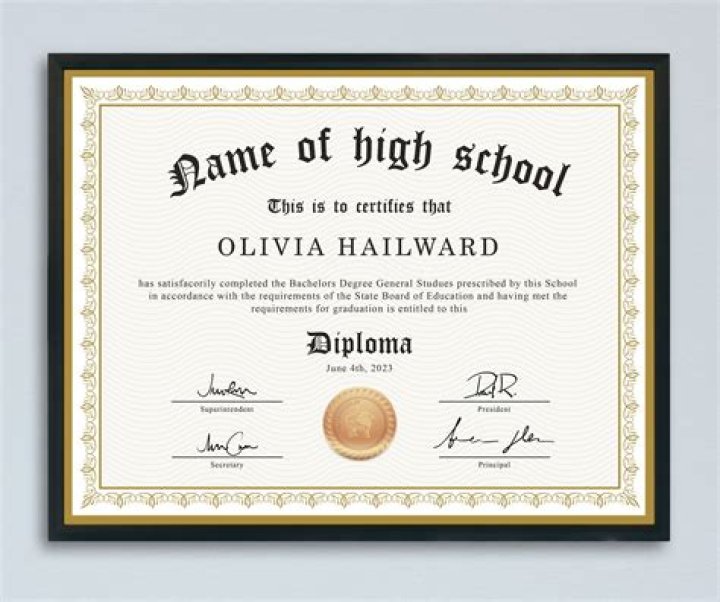 What is a HAVO diploma?