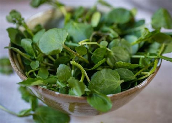 What is Chinese name for watercress?