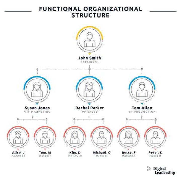 What is global Organisation structure?