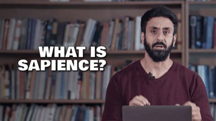 What is Sapience?
