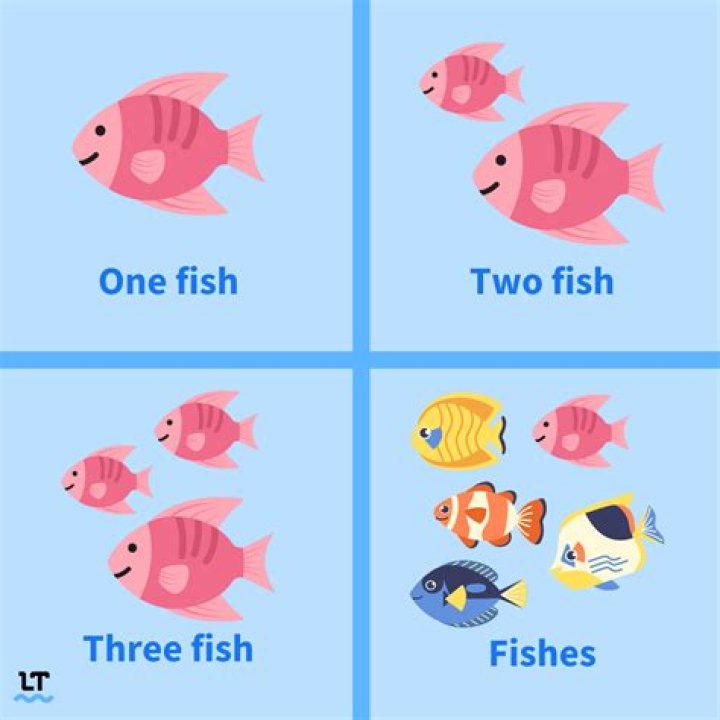 What is Soorai Fish English?