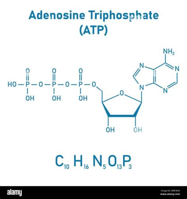 What is the chemical formula for sodium triphosphate?