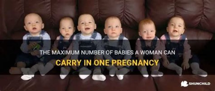 What is the maximum amount of babies a woman can have at once?