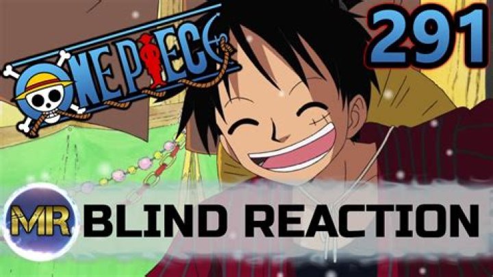 What is the point of episode 291 one piece?