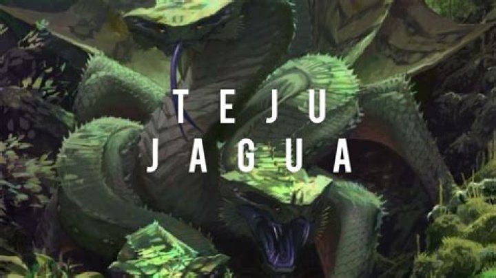 What is the Teju Jagua?