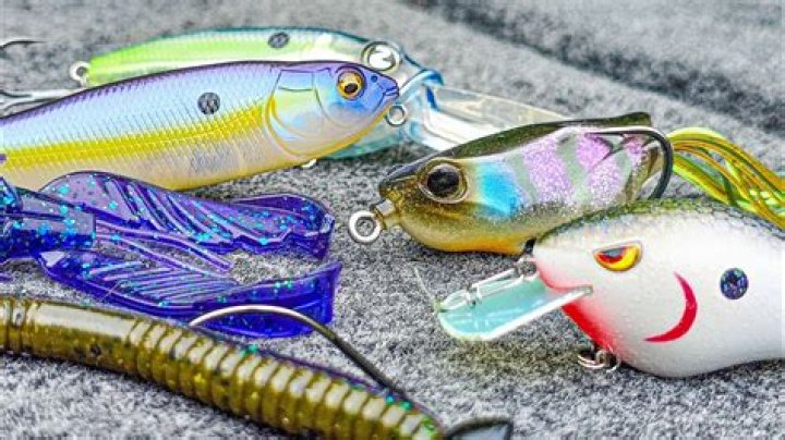 What kind of bait do you use for offshore fishing?