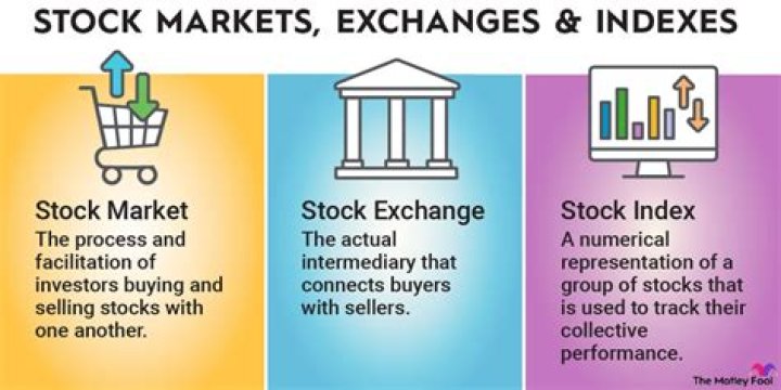 What kind of stock do founders get?