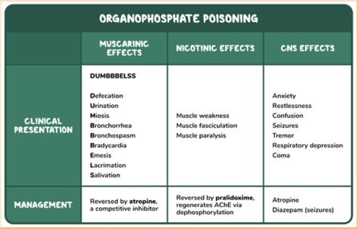 Why physostigmine is used in organophosphate poisoning?